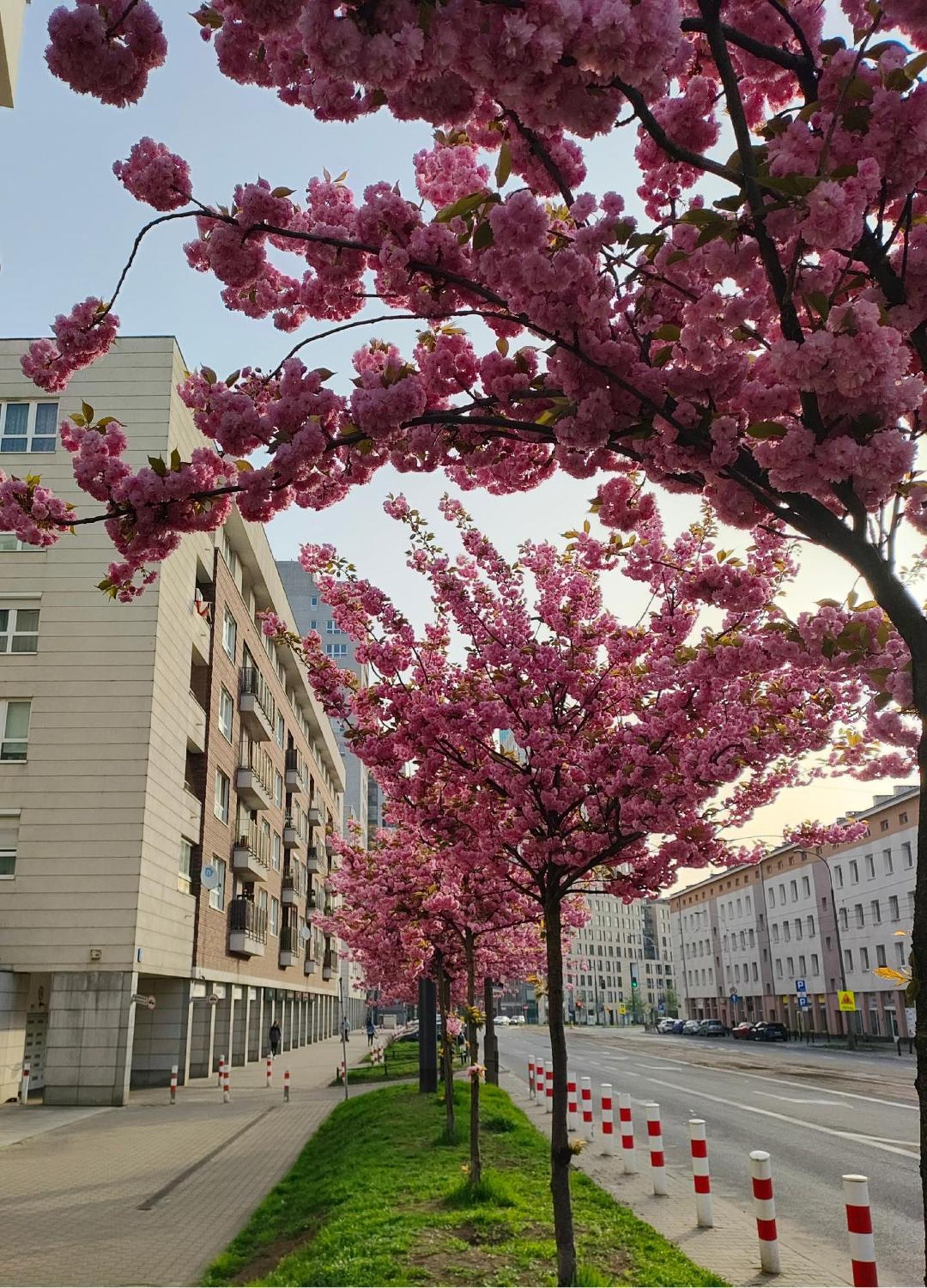Totutotam Apartamento Varsóvia Exterior foto
